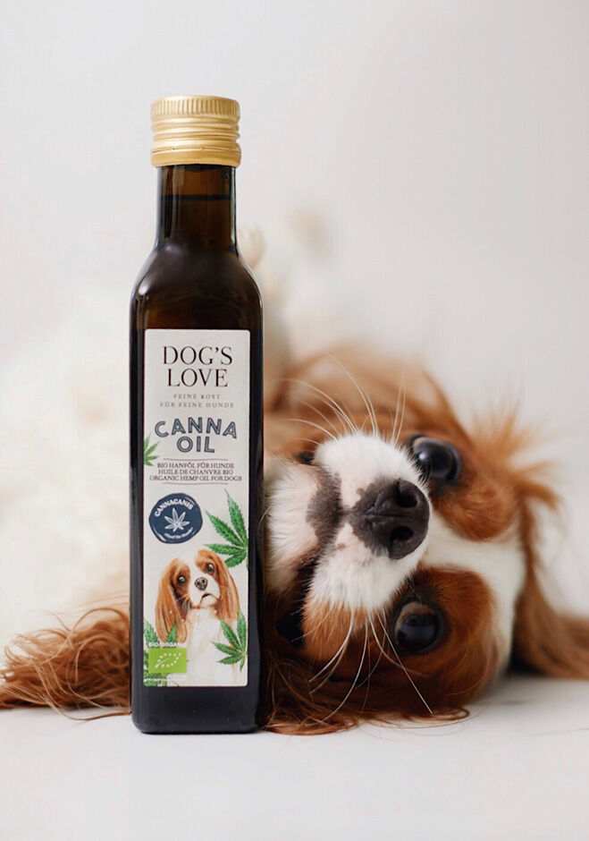 DOG'S LOVE Canna Olio CBD 5%, 10 ml - Zoolini Italia