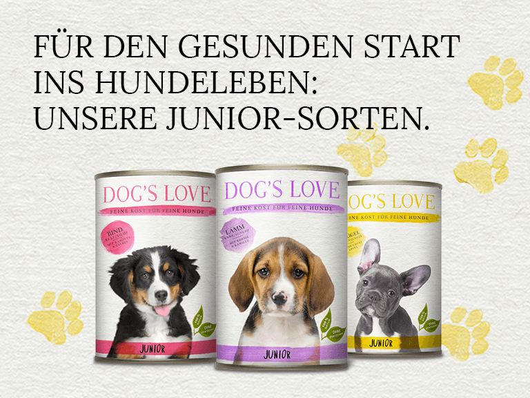 Welpenfutter | DOG'S LOVE.com Junior | Trocken- und Nassfutter